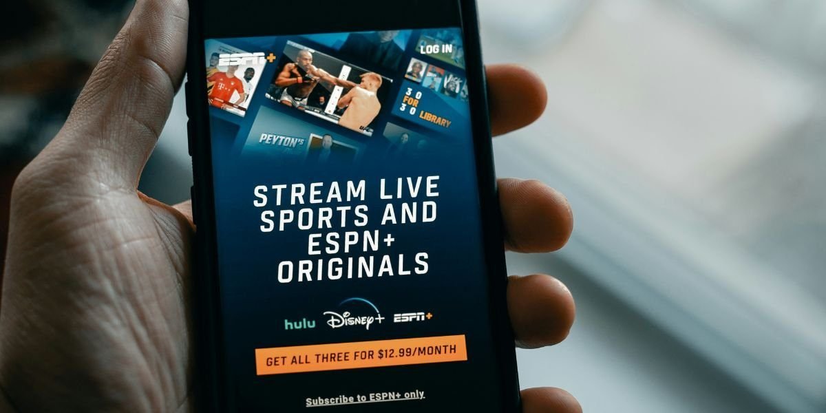 라이브 카지노 사이트